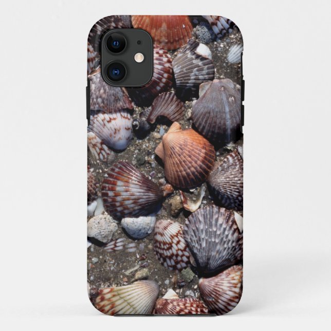 Scalloped Colourful Seashells On A Black Sand Case-Mate iPhone Case (Back)