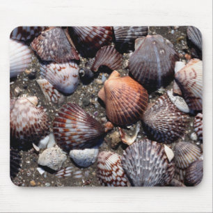 Scalloped Colourful Seashells On A Black Sand Mouse Pad