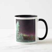 Scandinavia, Finland, Lapland, Kakslauttanen,
