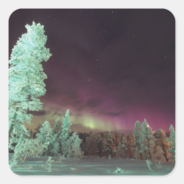 Scandinavia, Finland, Lapland, Kakslauttanen, Square Sticker (Front)