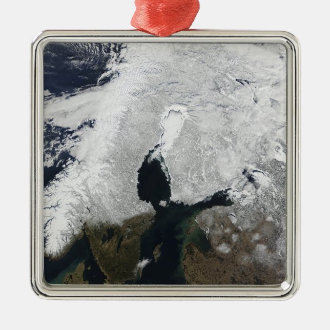 Scandinavia Metal Tree Decoration (Front)