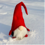 Scandinavian Christmas Gnome Photo Sculpture Decoration<br><div class="desc">otherwise known as a Tomte Nissa</div>