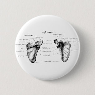 Scapula Details 6 Cm Round Badge