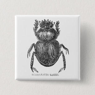 Scarab Beetle Vintage pen and ink drawing 15 Cm Square Badge