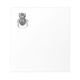 Scarab Beetle Vintage pen and ink drawing Notepad