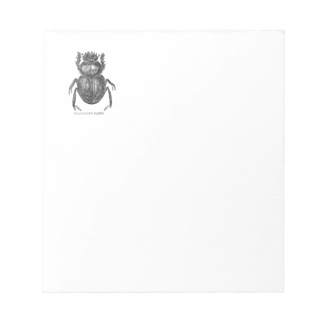 Scarab Beetle Vintage pen and ink drawing Notepad (Front)