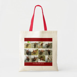 Scarab June Beetle Insect Big Bug Tote Bag