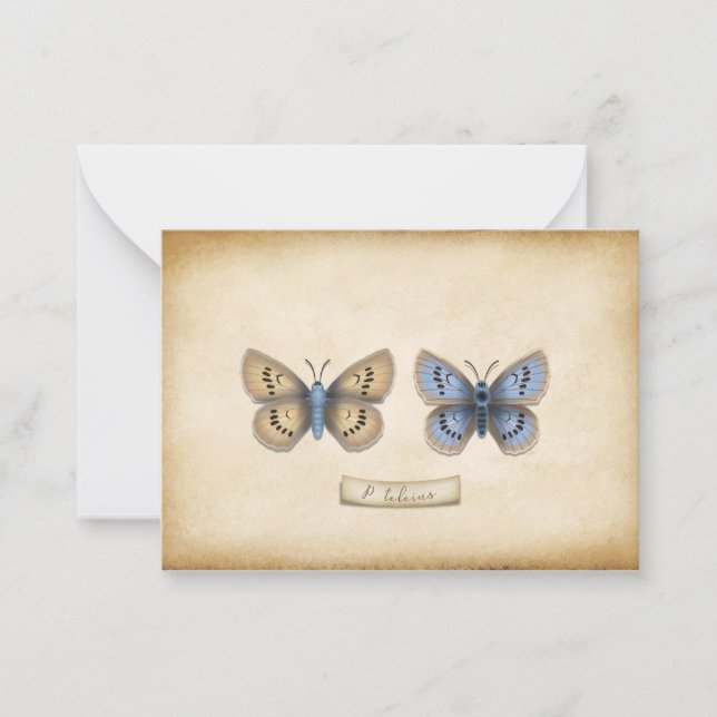 Scarce Large Blue Butterfly Specimen Customisable Card (Front)