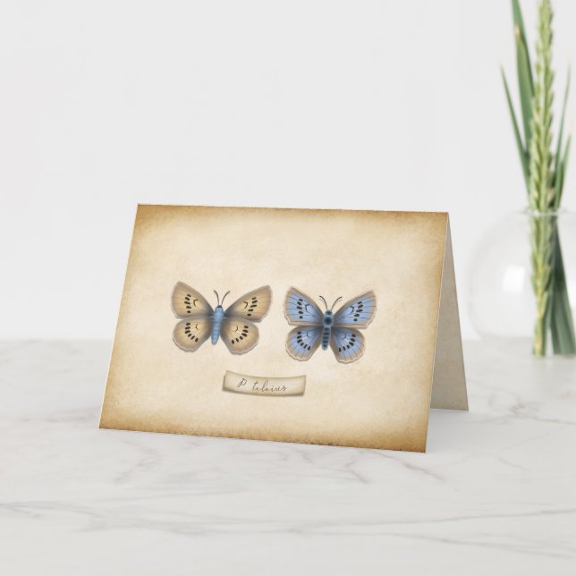 Scarce Large Blue Butterfly Specimen Customisable Thank You Card (Front)