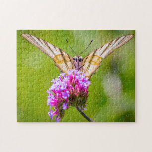 Scarce Swallowtail Butterfly. Jigsaw Puzzle