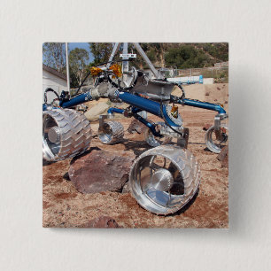 Scarecrow, a mobility-testing model 15 cm square badge