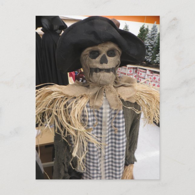 Scarecrow Postcard (Front)