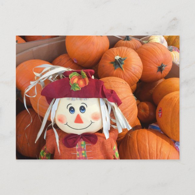 Scarecrow & Pumpkins Postcard (Front)