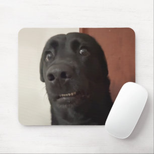 Scared Dog Meme Mouse Pad