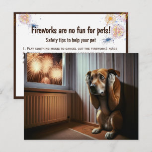 Scared Dog Watching Fireworks Postcard