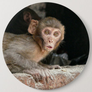 Scared monkey with big eyes button