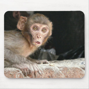 Scared monkey with big eyes mousepad
