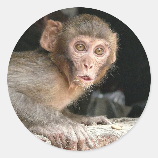 Scared monkey with big eyes round sticker (Front)