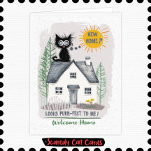 Scaredy Cat New Home