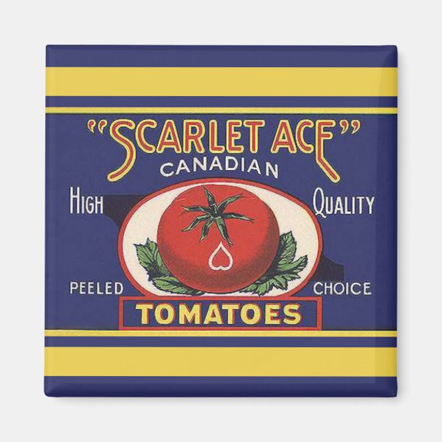 Scarlet Ace Tomatoes Magnet (Front)
