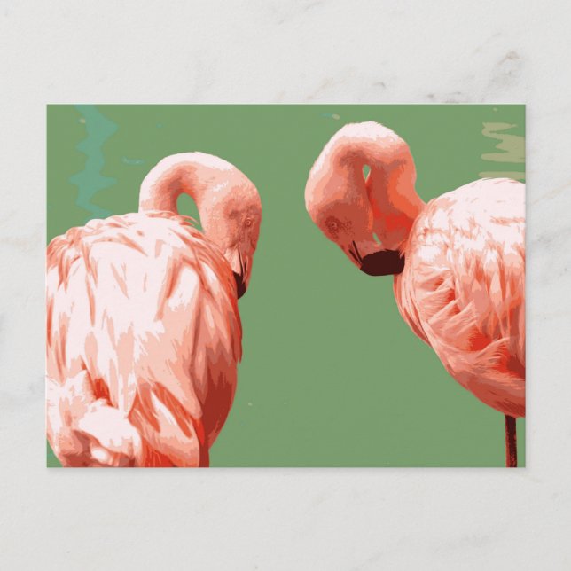 Scarlet Flamingo Postcard (Front)