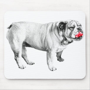 scarlet focus calm, bulldog mouse pad