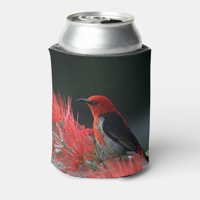 Scarlet honeyeater Exotic Bird Can Cooler (Can Back)