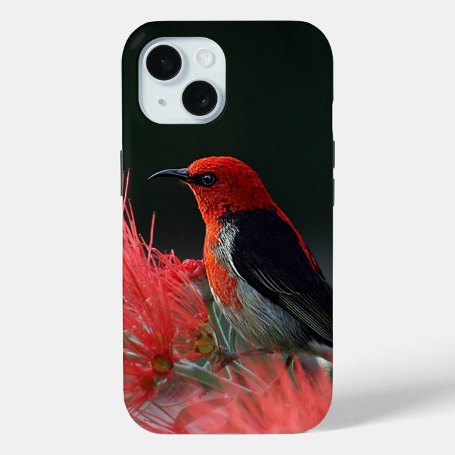 Scarlet honeyeater Exotic Bird Case-Mate iPhone Case (Back)