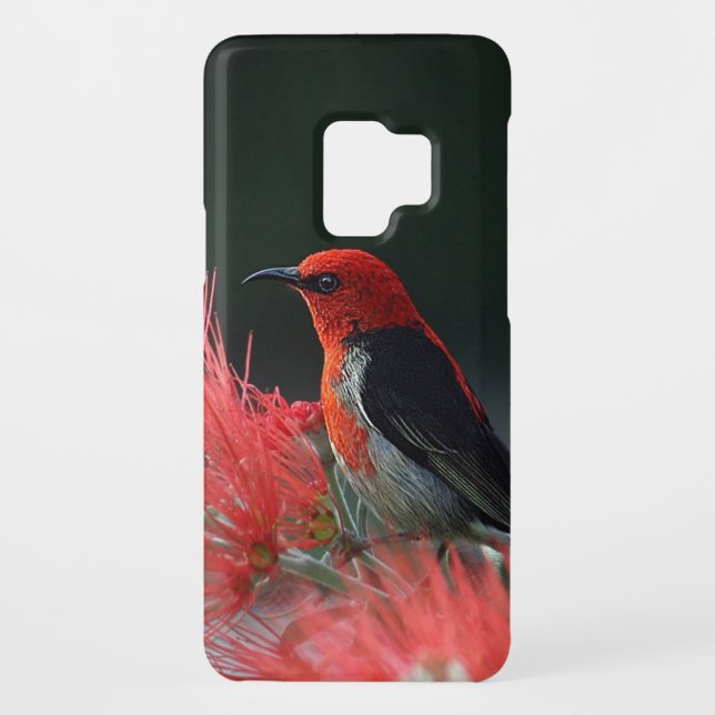 Scarlet Honeyeater Photo Case-Mate Samsung Galaxy Case (Back)