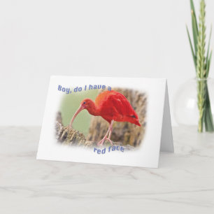 Scarlet Ibis Bird Belated Birthday Card