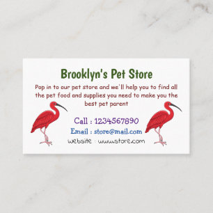 Scarlet ibis bird cartoon illustration business card