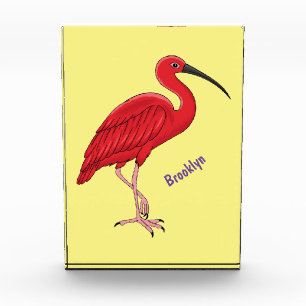 Scarlet ibis bird cartoon illustration photo block