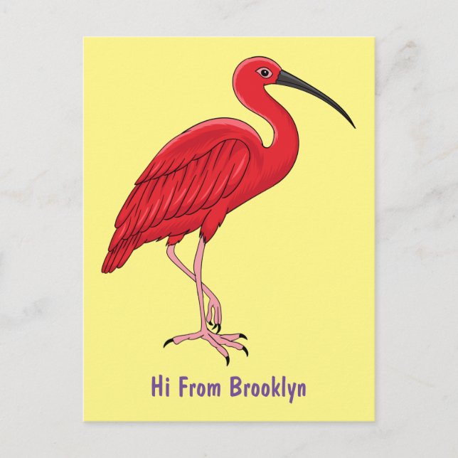 Scarlet ibis bird cartoon illustration  postcard (Front)
