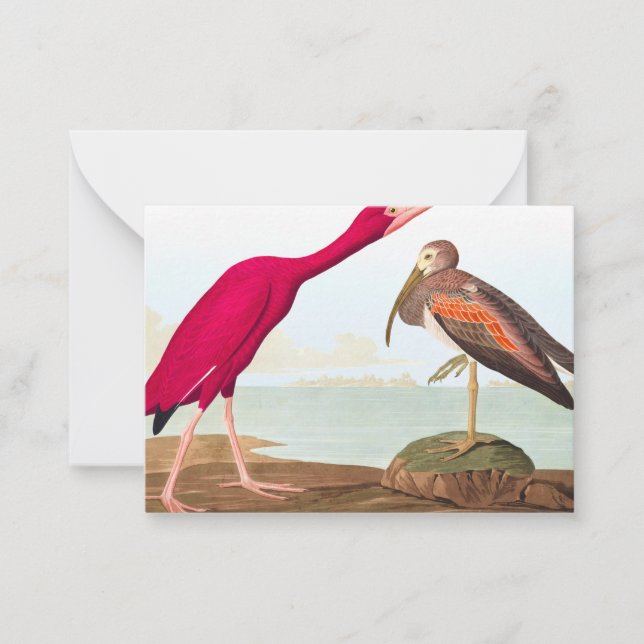 Scarlet ibis by John James Audubon Card (Front)
