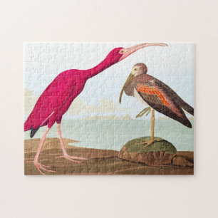 Scarlet ibis by John James Audubon Jigsaw Puzzle