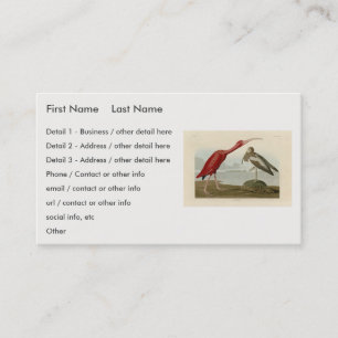 Scarlet Ibis - from Audubon's Birds of America Business Card