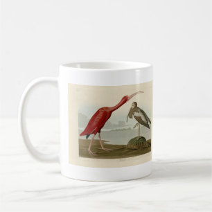 Scarlet Ibis - from Audubon's Birds of America Coffee Mug