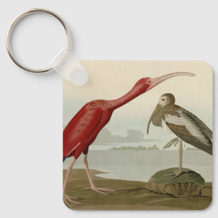 Scarlet Ibis - from Audubon's Birds of America Key Ring