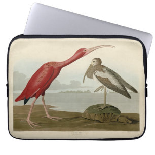 Scarlet Ibis - from Audubon's Birds of America Pos Laptop Sleeve