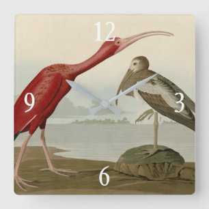 Scarlet Ibis - from Audubon's Birds of America Square Wall Clock