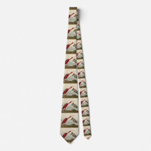 Scarlet Ibis - from Audubon's Birds of America Tie