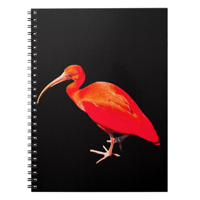 Scarlet Ibis Notebook (Front)