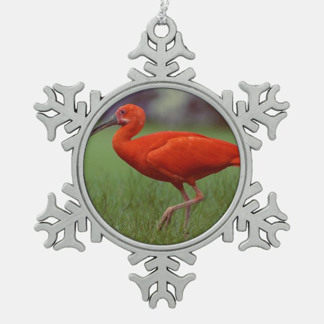 Scarlet ibis snowflake pewter christmas ornament (Front)