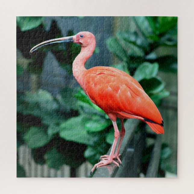 Scarlet Jigsaw Puzzle (Vertical)