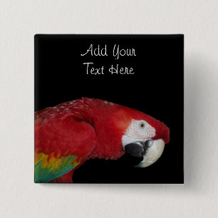 Scarlet Macaw 15 Cm Square Badge