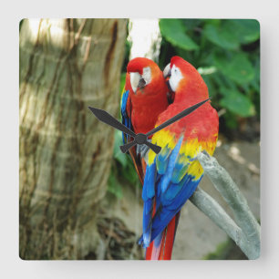 Scarlet Macaw Clock