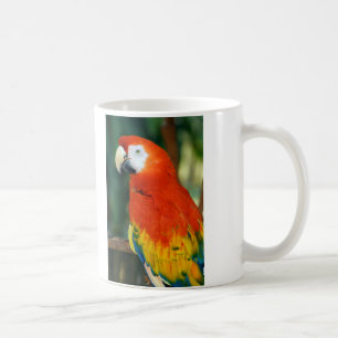 Scarlet Macaw Coffee Mug