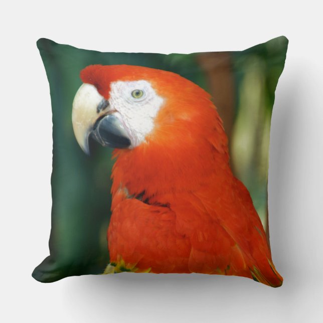 Scarlet Macaw Cushion (Front)