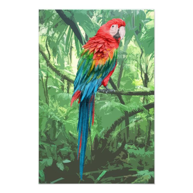 Scarlet Macaw Design Photo Enlargement (Front)
