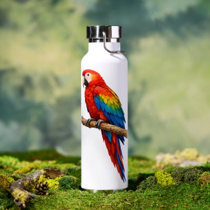 Scarlet Macaw Double-Sided Tropical Water Bottle